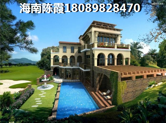 新景 广海外滩 一居  户型图